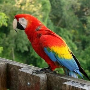 Meet your Posher, Thomas